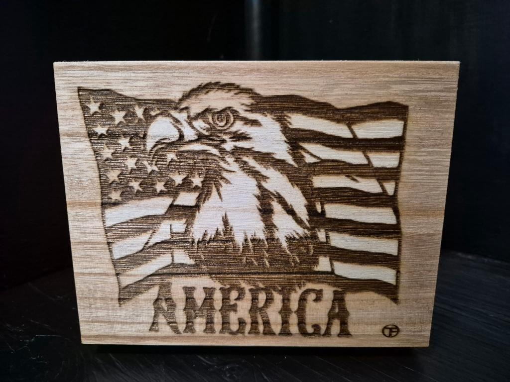 America Eagle & Flag