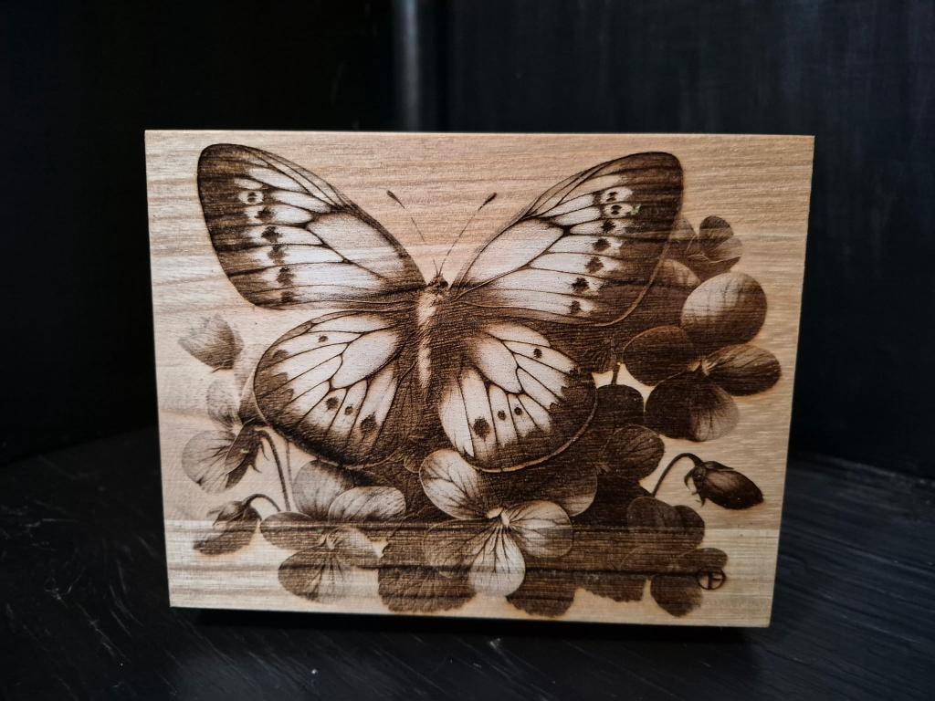 Butterfly & Flowers