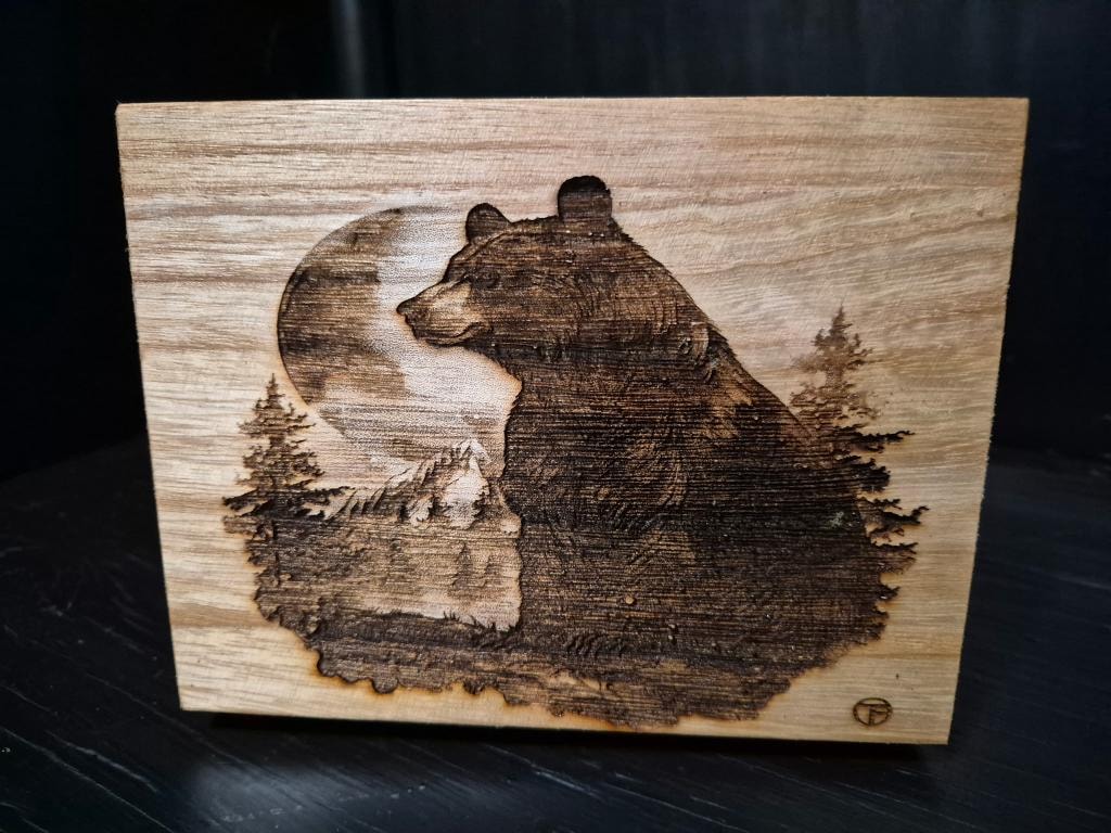 Bear & Forest Moon