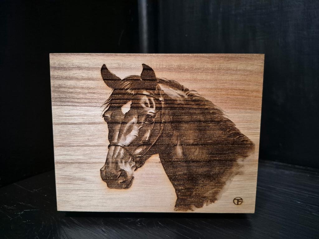 Horse Portrait