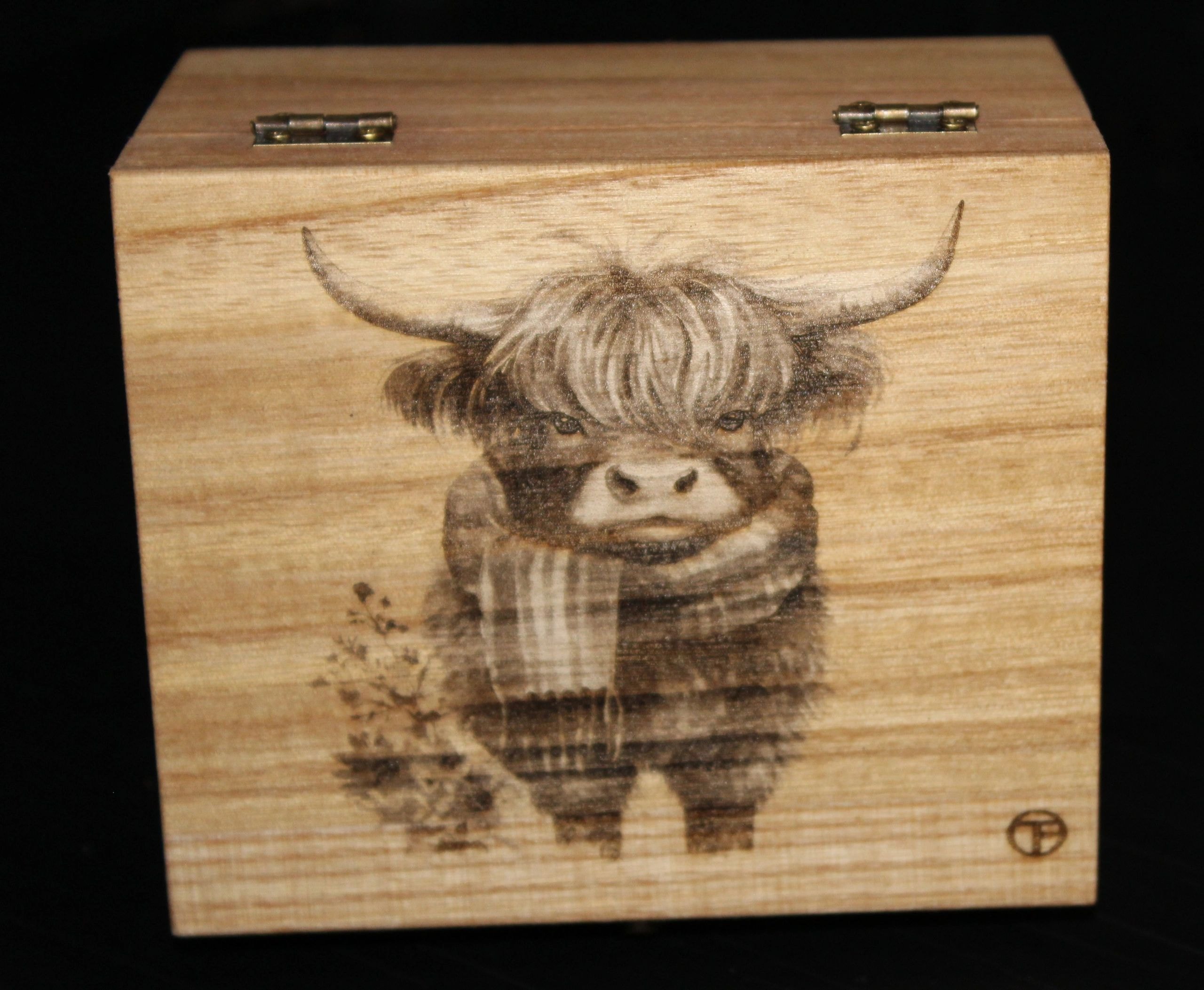 Highland Cattle