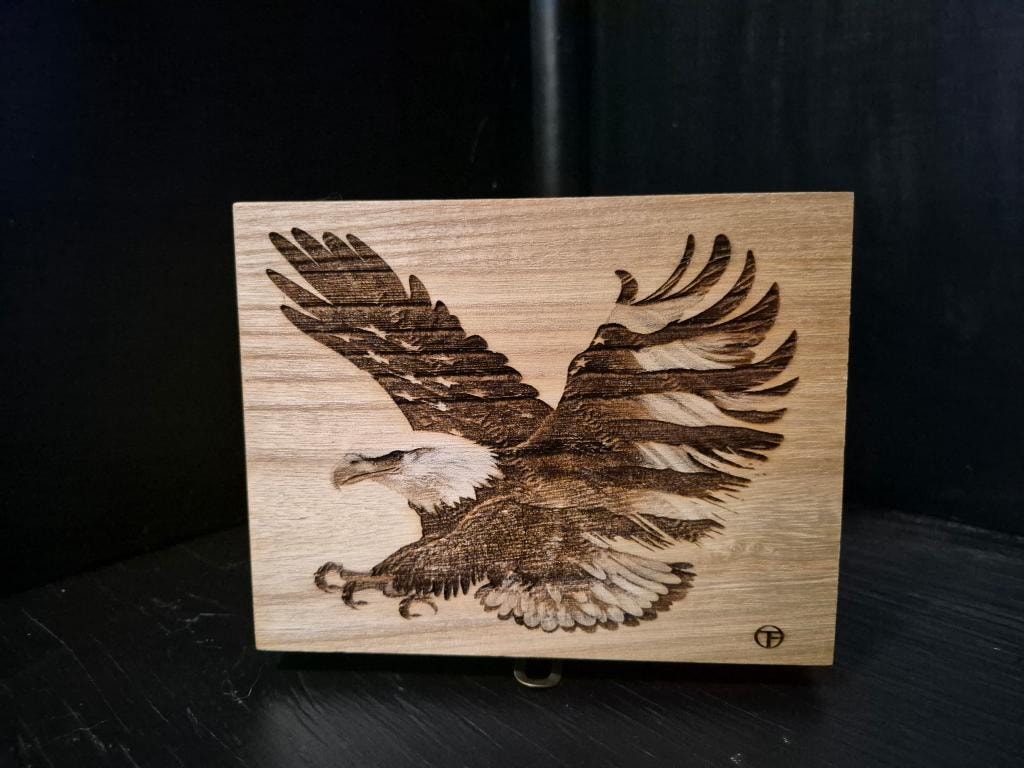 Soaring Eagle