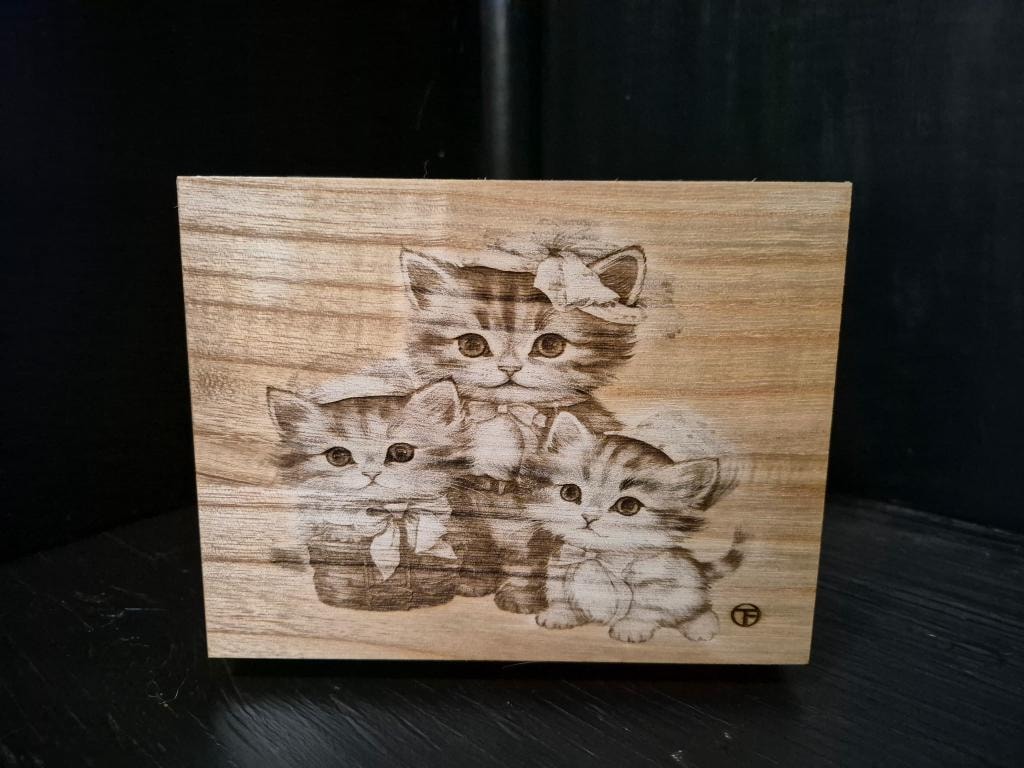 Three Kittens