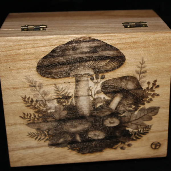 Large Honey Boxes